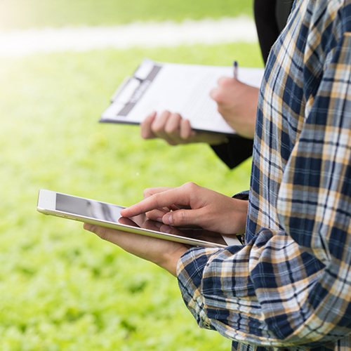 Technico commercial agricole avec une tablette